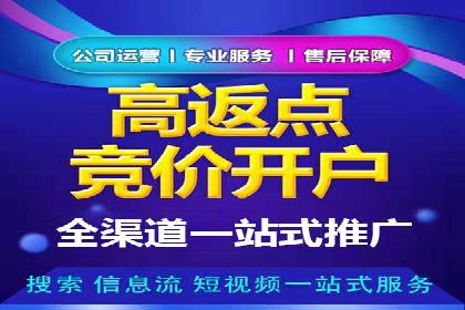 百度平台推广策略及成功案例解析